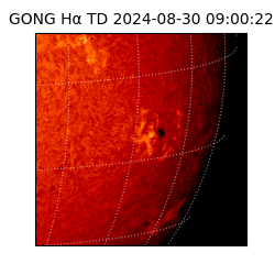 gong - 2024-08-30T09:00:22