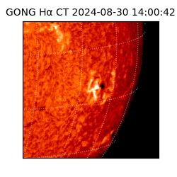 gong - 2024-08-30T14:00:42