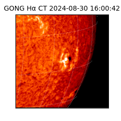 gong - 2024-08-30T16:00:42