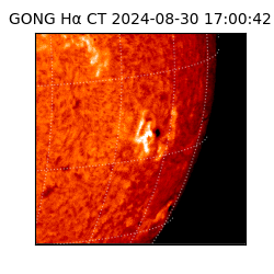 gong - 2024-08-30T17:00:42
