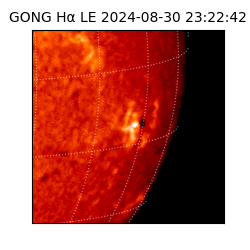 gong - 2024-08-30T23:22:42