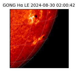 gong - 2024-08-30T02:00:42