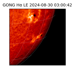 gong - 2024-08-30T03:00:42