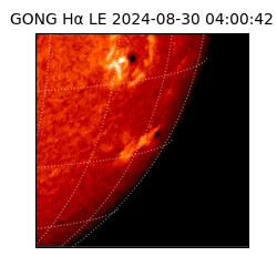 gong - 2024-08-30T04:00:42