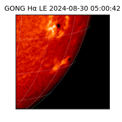 gong - 2024-08-30T05:00:42