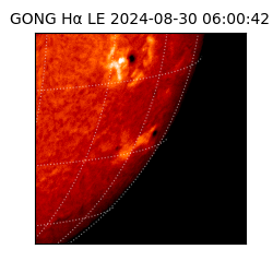 gong - 2024-08-30T06:00:42