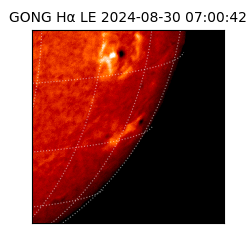 gong - 2024-08-30T07:00:42