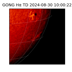 gong - 2024-08-30T10:00:22