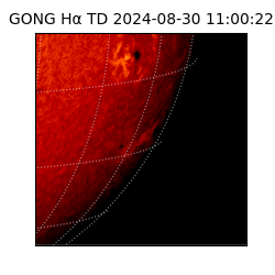 gong - 2024-08-30T11:00:22