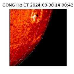 gong - 2024-08-30T14:00:42