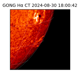 gong - 2024-08-30T18:00:42