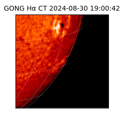 gong - 2024-08-30T19:00:42