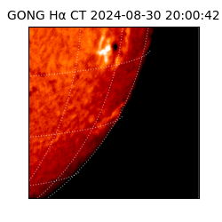 gong - 2024-08-30T20:00:42