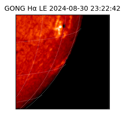 gong - 2024-08-30T23:22:42