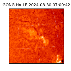 gong - 2024-08-30T07:00:42