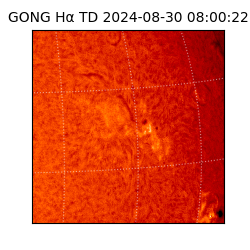 gong - 2024-08-30T08:00:22