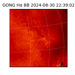 gong - 2024-08-30T22:39:02