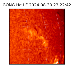 gong - 2024-08-30T23:22:42