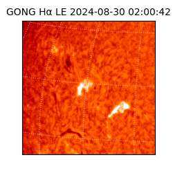 gong - 2024-08-30T02:00:42