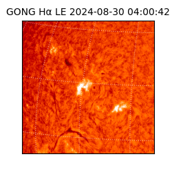 gong - 2024-08-30T04:00:42