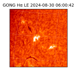 gong - 2024-08-30T06:00:42