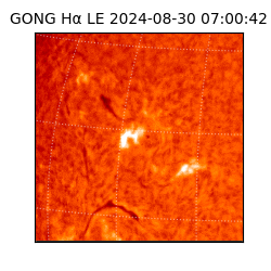 gong - 2024-08-30T07:00:42