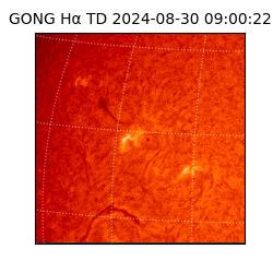 gong - 2024-08-30T09:00:22