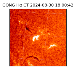 gong - 2024-08-30T18:00:42