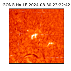 gong - 2024-08-30T23:22:42