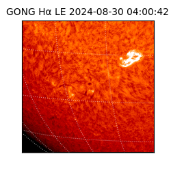 gong - 2024-08-30T04:00:42