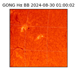 gong - 2024-08-30T01:00:02