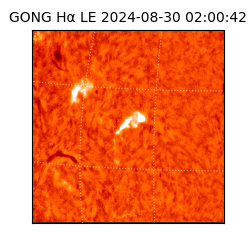 gong - 2024-08-30T02:00:42