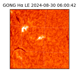 gong - 2024-08-30T06:00:42