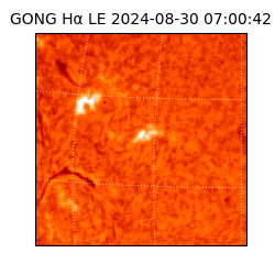 gong - 2024-08-30T07:00:42