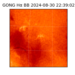 gong - 2024-08-30T22:39:02