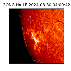 gong - 2024-08-30T04:00:42