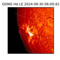 gong - 2024-08-30T06:00:42