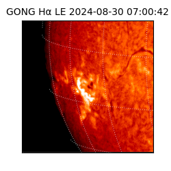 gong - 2024-08-30T07:00:42