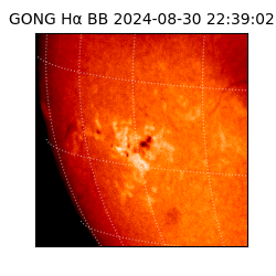 gong - 2024-08-30T22:39:02