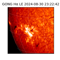 gong - 2024-08-30T23:22:42