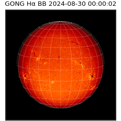 gong - 2024-08-30T00:00:02