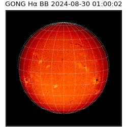 gong - 2024-08-30T01:00:02