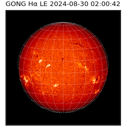gong - 2024-08-30T02:00:42