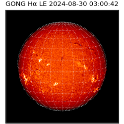 gong - 2024-08-30T03:00:42
