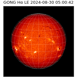 gong - 2024-08-30T05:00:42