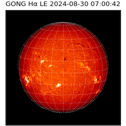 gong - 2024-08-30T07:00:42