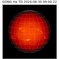 gong - 2024-08-30T09:00:22