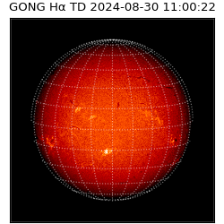 gong - 2024-08-30T11:00:22