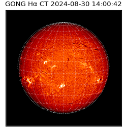 gong - 2024-08-30T14:00:42