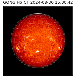 gong - 2024-08-30T15:00:42